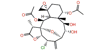 Junceellonoid C